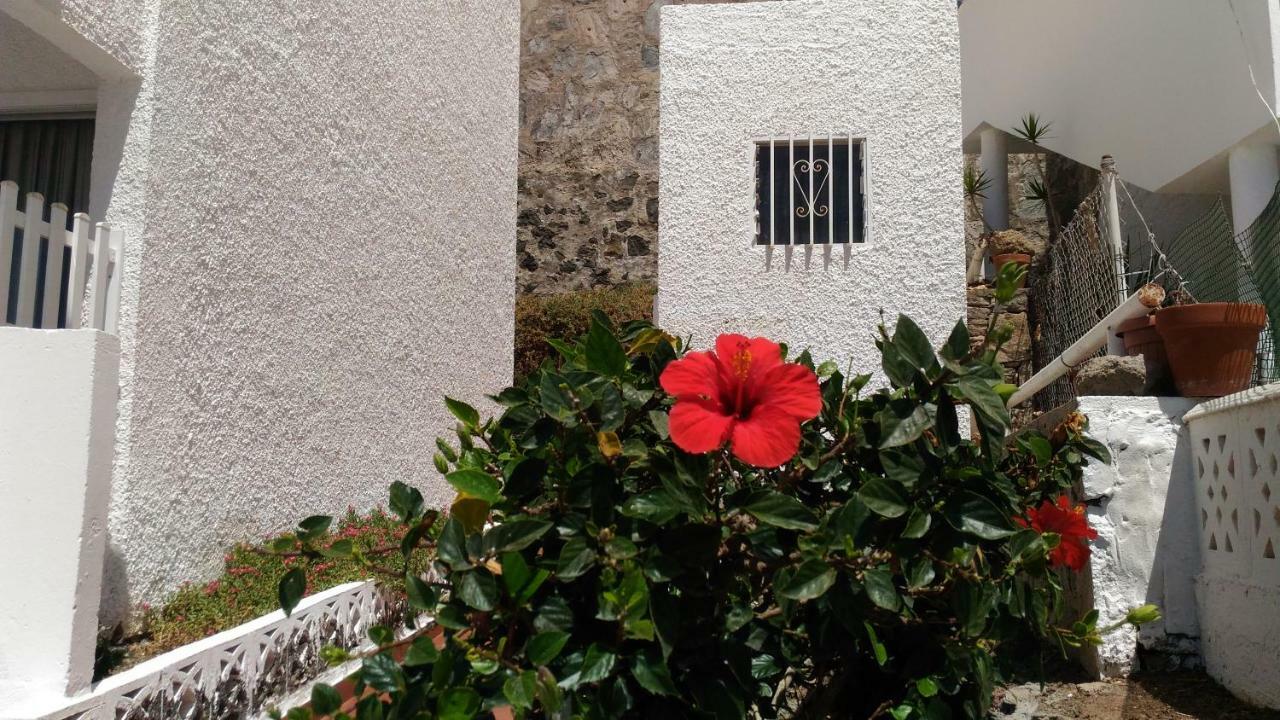 Bonaire Apartment Puerto Rico  Exterior photo